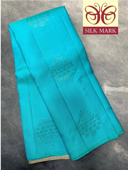 Pure Kanchipuram Silk Saree Sapphire Colour with Border Less