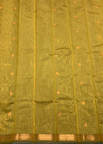 Golden Mustard Colour Silk Cotton Saree with Copper Zari Border
