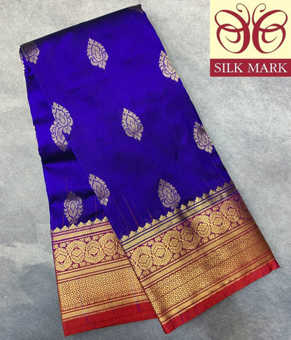 Pure Kanchipuram Silk Blue Colour with Red Colour Border