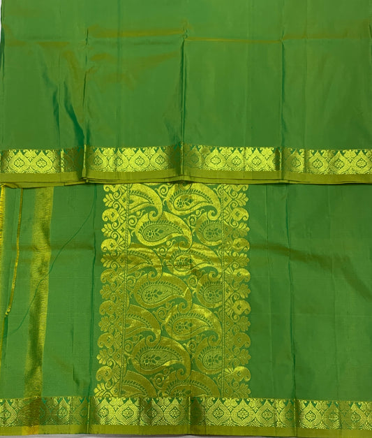 Light Green Colour Half Saree Shawl