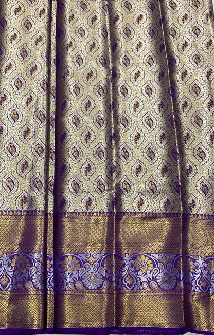 Fancy Tissue Saree Golden Colour with Blue Border