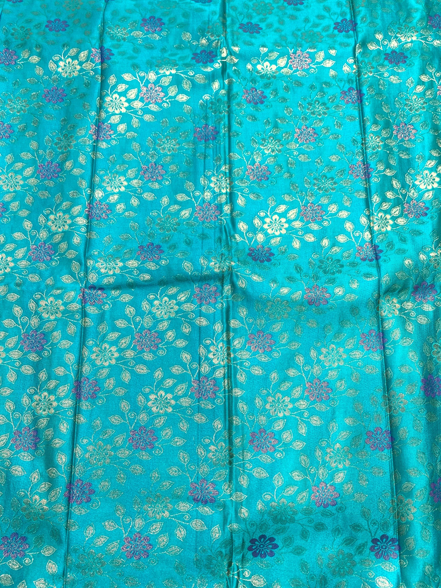 Ramar Green shade Soft kanchi pattu with Blue Border