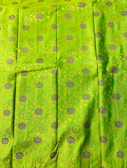 Apple Green shade Soft kanchi pattu with Blue Border