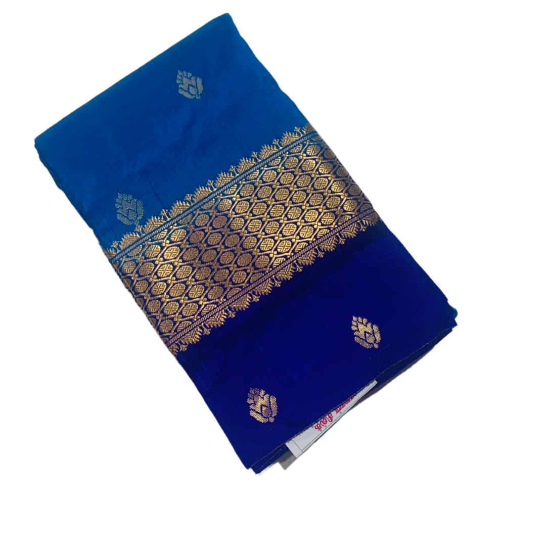 Pure Kanchipuram Silk Sky Blue Colour