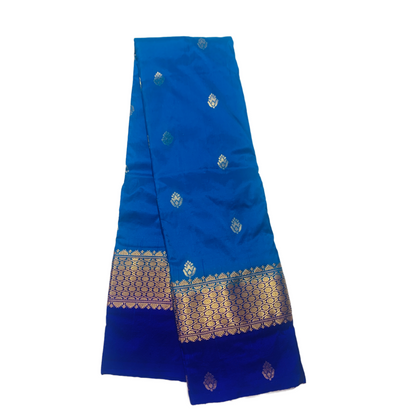 Pure Kanchipuram Silk Sky Blue Colour